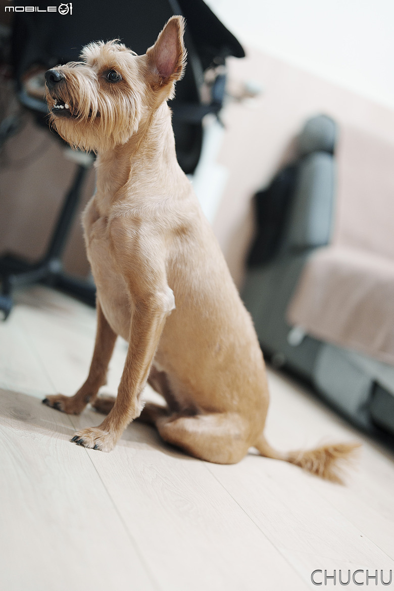 Sony A7C2 與 Sony 50mm f1.4 GM小小心得