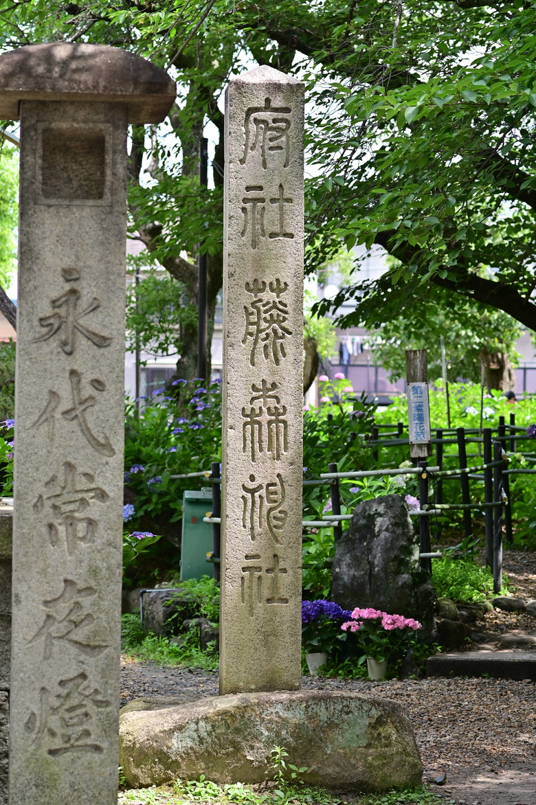 京都市區紫陽花名所採點介紹-藤森神社與智積院