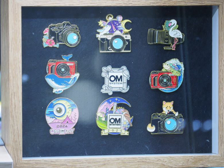 [冷門開箱] OM System M.Zuiko Digital ED 40-150mm F4.0