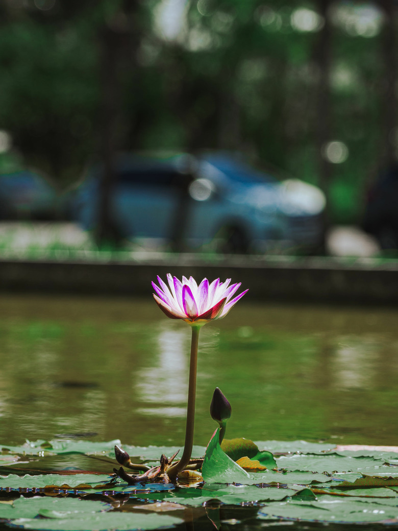 帶著OM3玩台東 (12-100 F4 PRO)