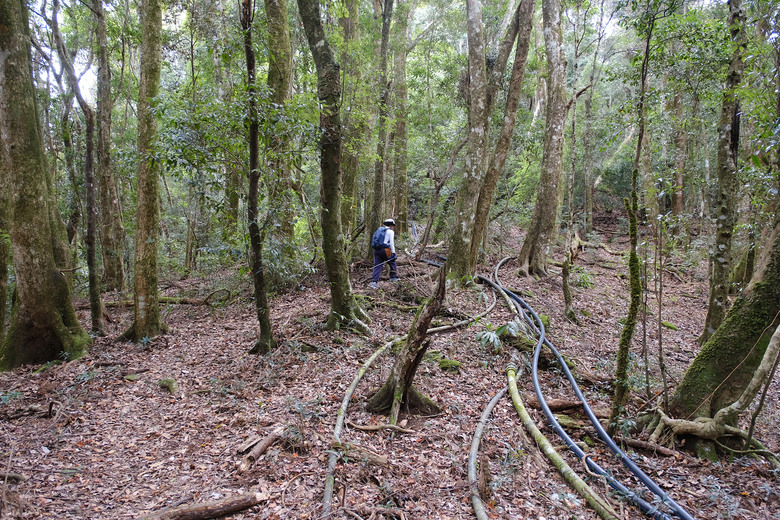 點我看大圖 【比大鳥縱走】隱沒在深山裡的日軍軍營遺址 | 五峰天際線