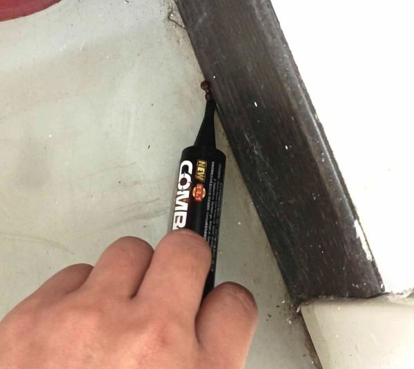 有人試過這種殺蟑螂的組合嗎?