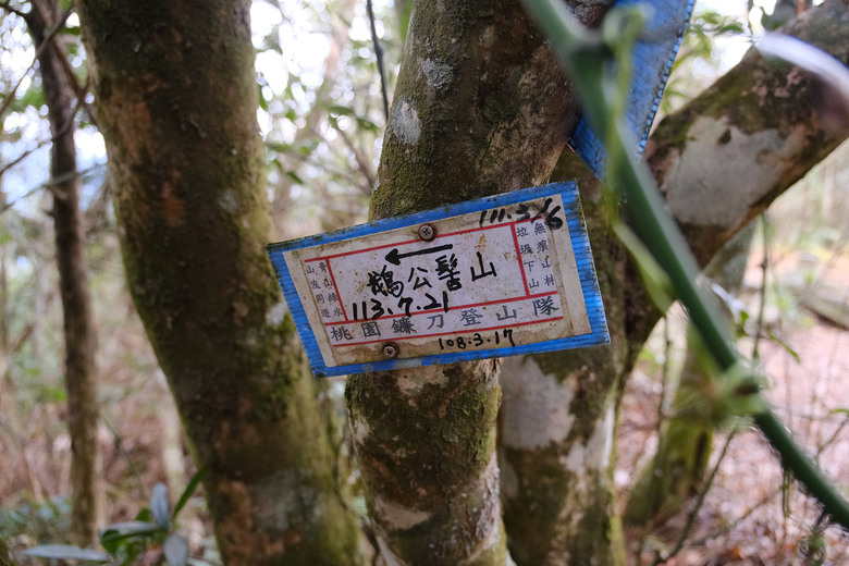 點我看大圖 【比大鳥縱走】隱沒在深山裡的日軍軍營遺址 | 五峰天際線