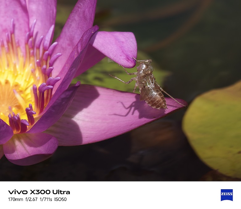【上篇】vivo X300 Ultra與Gen2 Ultra增距鏡的心得及照片分享