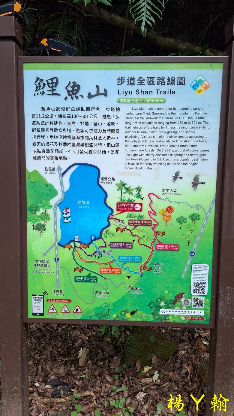 【台灣小百岳】鯉魚潭畔的靜謐午後|健行鯉魚山,飽覽湖光山色