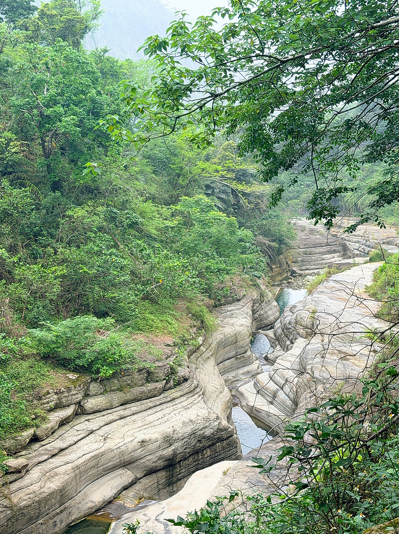 點我看大圖 【雲林草嶺】大自然的萬年雕刻筆觸:探訪「萬年峽谷」的壯麗與幽靜