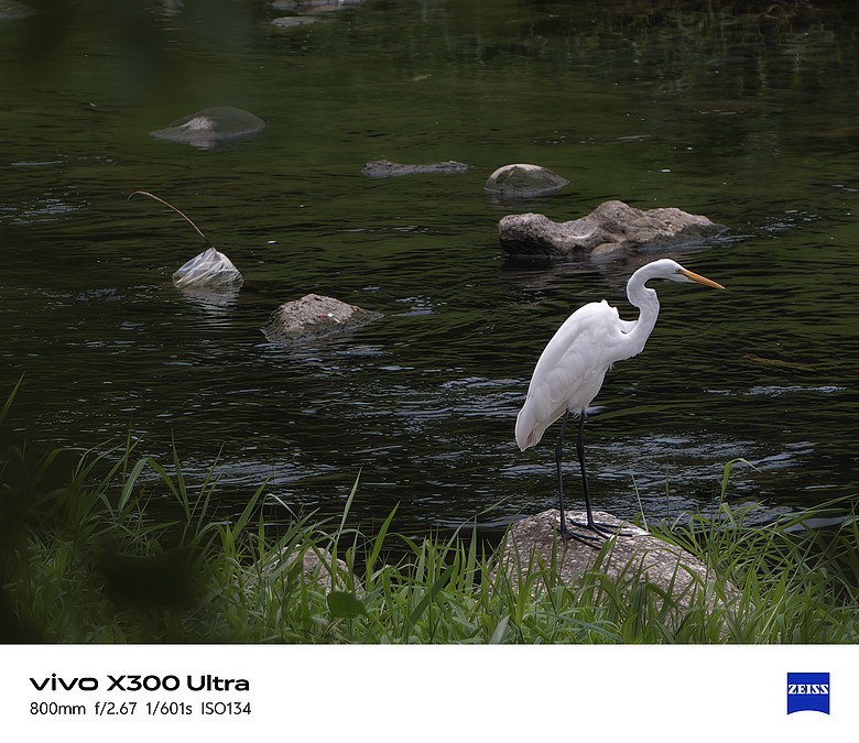 點我看大圖 【下篇】vivo X300 Ultra與Gen2 Ultra增距鏡的心得及照片分享