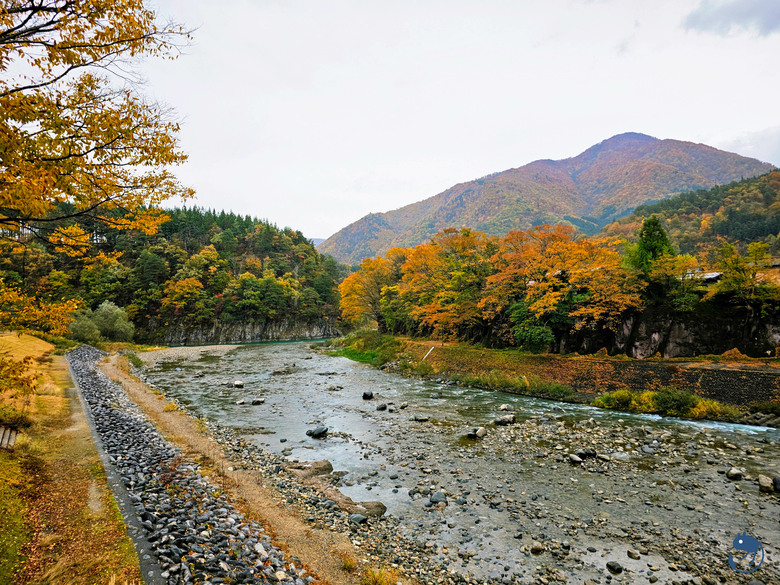 日本-岐阜大野|*暖紅山谷裡的茅葺小屋* 白川鄉合掌村 白川郷合掌造