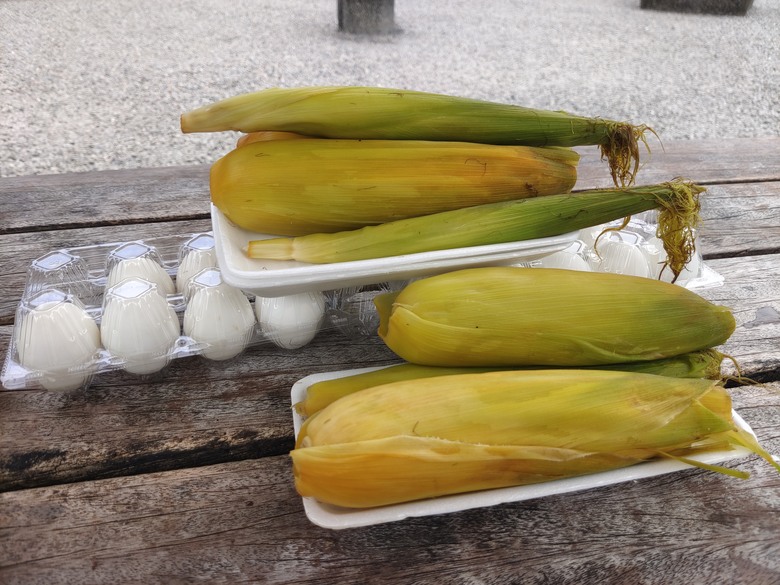 麻繩理工學院深入研究-小雲豹清水地熱麻袋與棉袋之煮食比較