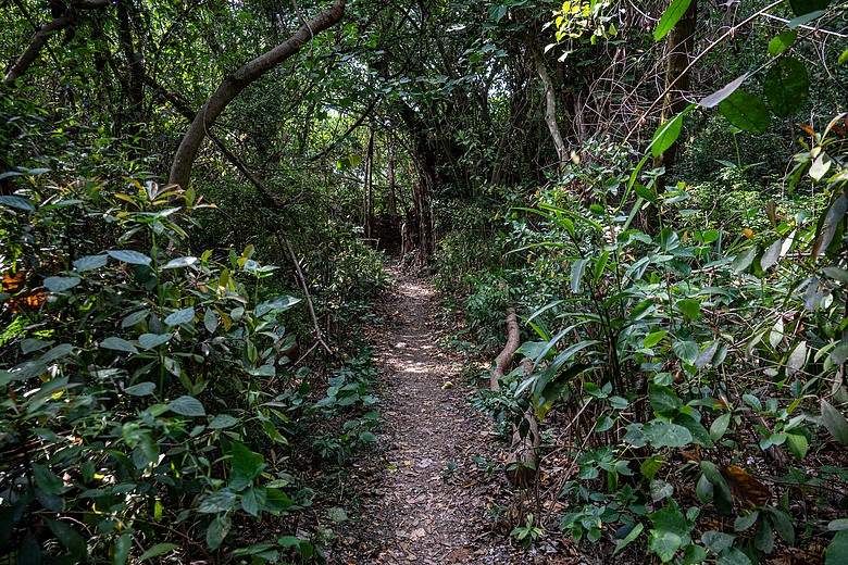 爬山看護國神山(一)