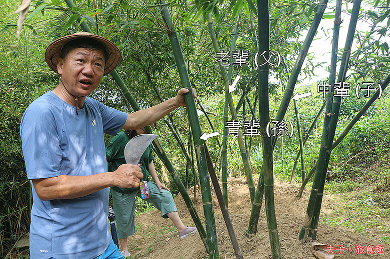 2026觀音山食農教育體驗 親子採筍 解密獨門 「土表裂縫」尋寶術 挖出優質觀音山綠竹筍