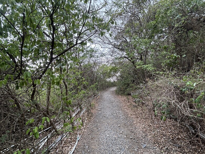 瑯 嶠 首 岳 - 里 龍 山 (小百岳編號80)