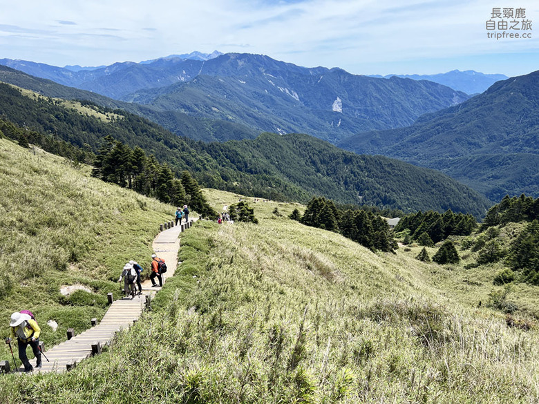 合歡東峰 玉山杜鵑花盛開 適合新手挑戰的第一座百岳