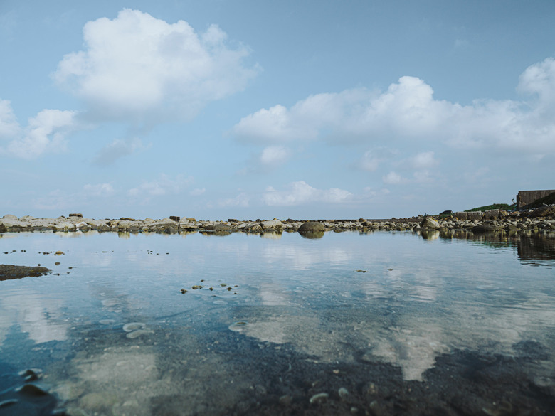 帶著OM3玩台東 (12-100 F4 PRO)