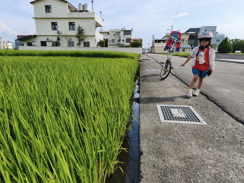 2026，苗栗，小小孩騎旅，世界自行車日-環大苗栗100K^_^