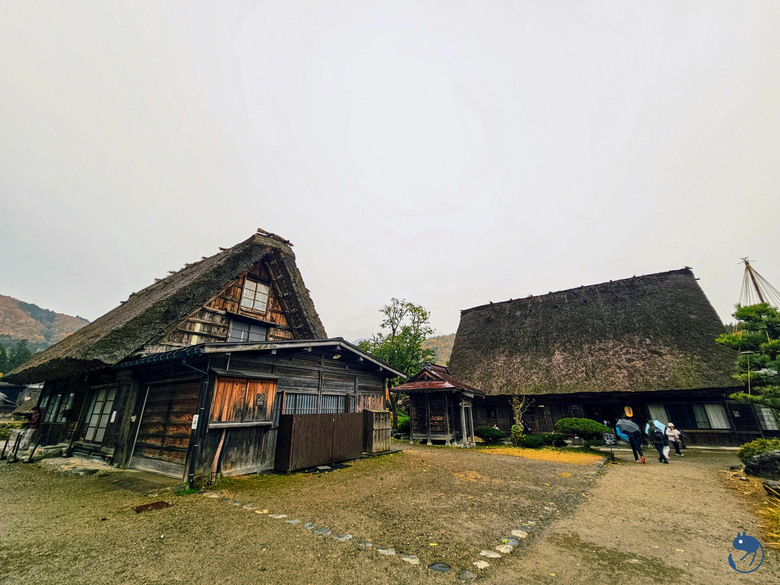 日本-岐阜大野|*暖紅山谷裡的茅葺小屋* 白川鄉合掌村 白川郷合掌造