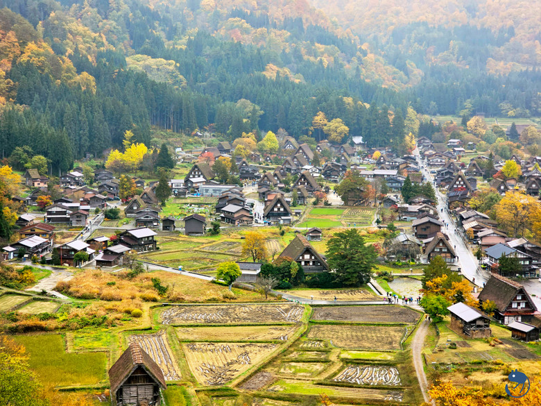 日本-岐阜大野|*暖紅山谷裡的茅葺小屋* 白川鄉合掌村 白川郷合掌造