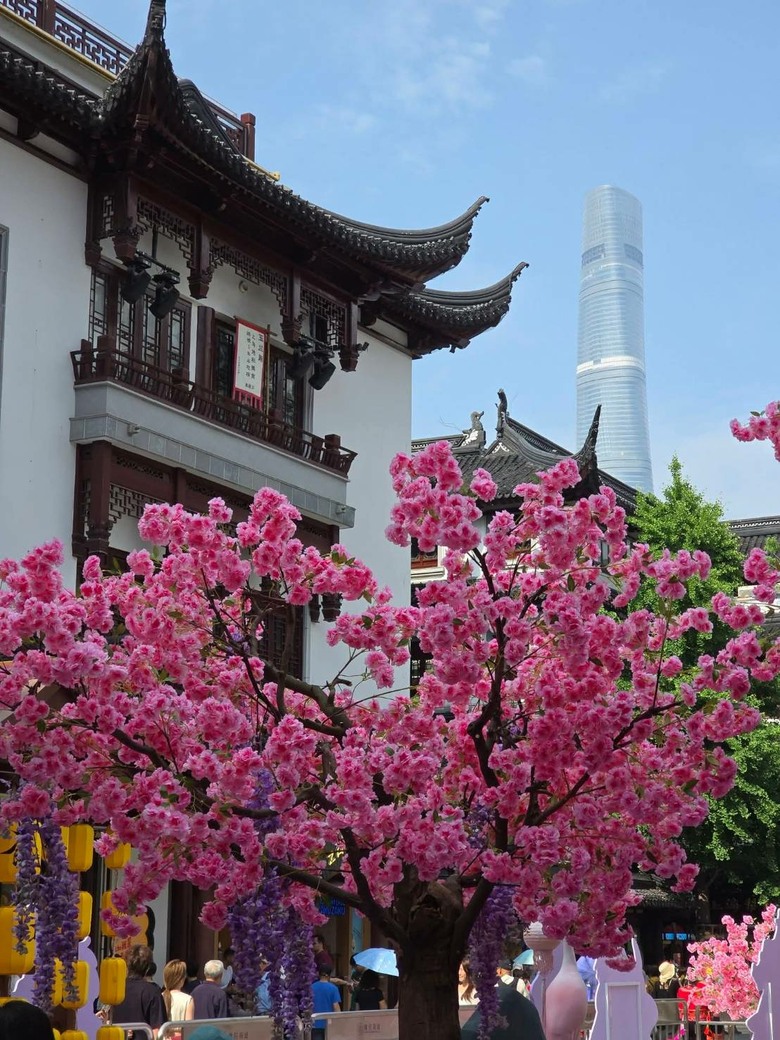 西藏天路之旅,帶著720Armour去旅行