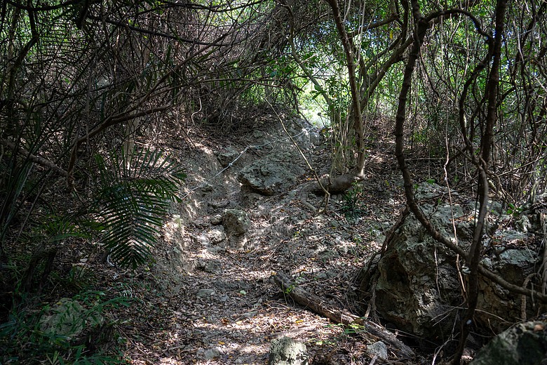 爬山看護國神山(一)