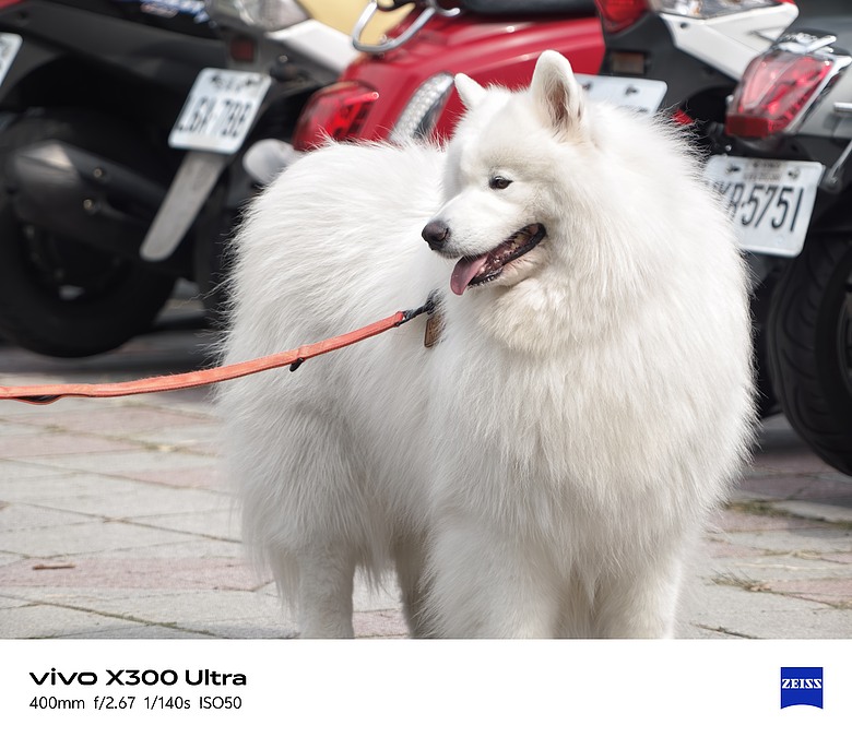 點我看大圖 【下篇】vivo X300 Ultra與Gen2 Ultra增距鏡的心得及照片分享