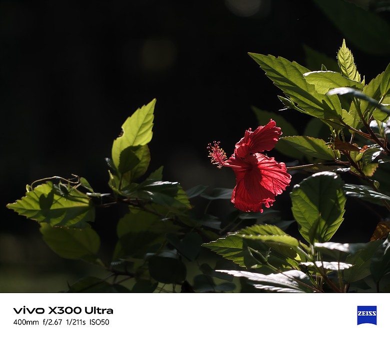 點我看大圖 【下篇】vivo X300 Ultra與Gen2 Ultra增距鏡的心得及照片分享