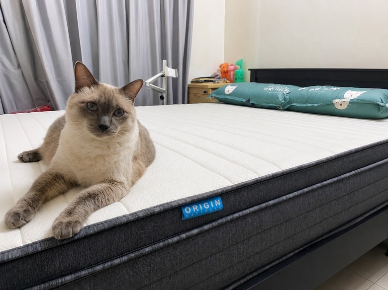 【實測中】起源睡眠天然乳膠獨立筒床墊120晚試睡