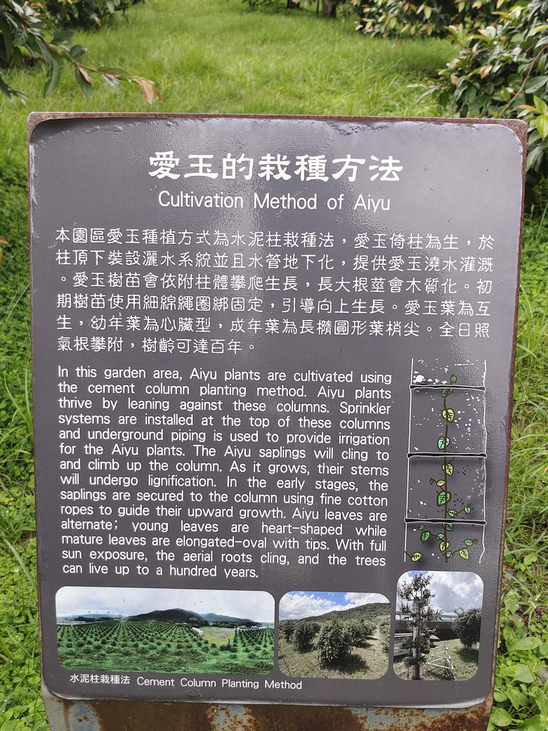 蘭陽環線--輕食之旅
