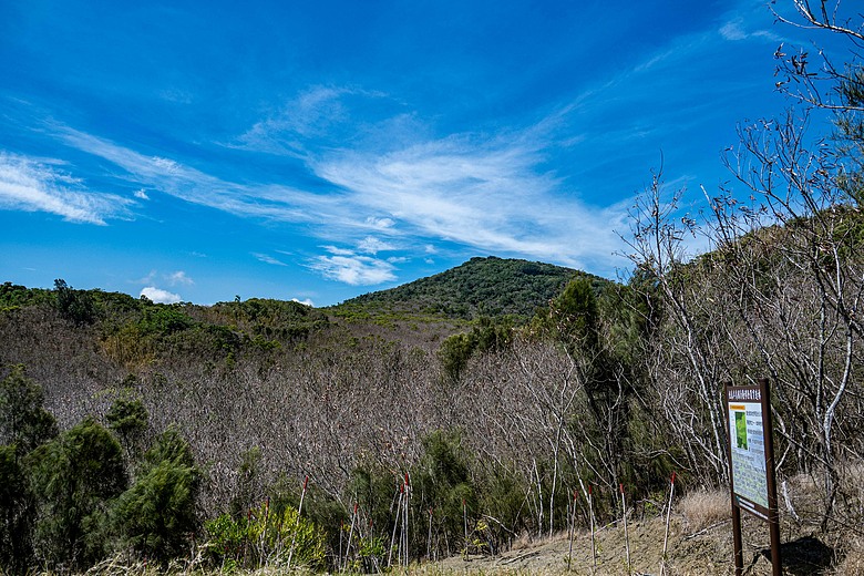 國境之南的一等三角點----大山母山