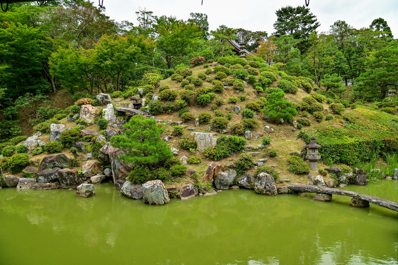 京都市區紫陽花名所採點介紹-藤森神社與智積院