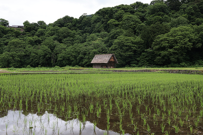 Canon EOS R6 V + RF20-50mm f/4L PZ 評測報告｜首款全幅方塊機、搭載 7K Open Gate 終極殺招！