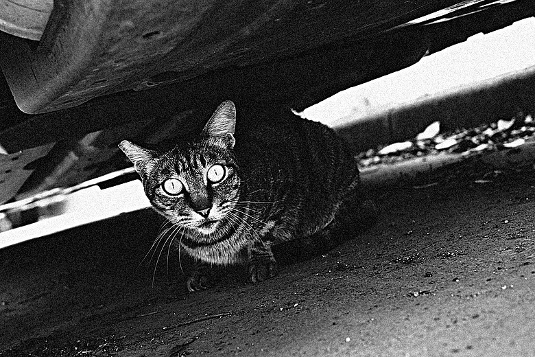 RICOH GR IV Monochrome 評測報告｜以純粹光影、譜寫口袋裡的黑白詩篇！
