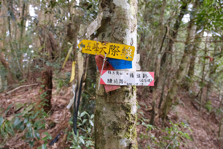 點我看大圖 【比大鳥縱走】隱沒在深山裡的日軍軍營遺址 | 五峰天際線