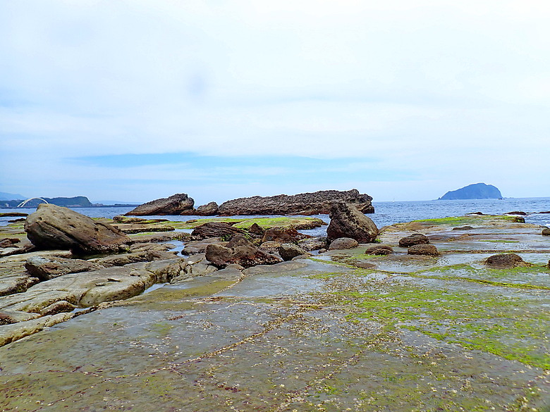 點我看大圖 (映像海洋) 一探油庫口海底花椰菜山丘 in 大坪海岸