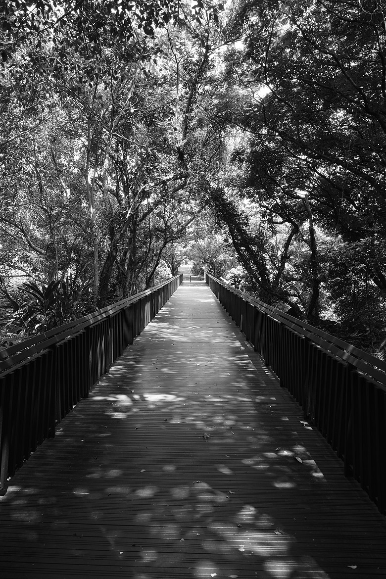RICOH GR IV Monochrome 評測報告｜以純粹光影、譜寫口袋裡的黑白詩篇！