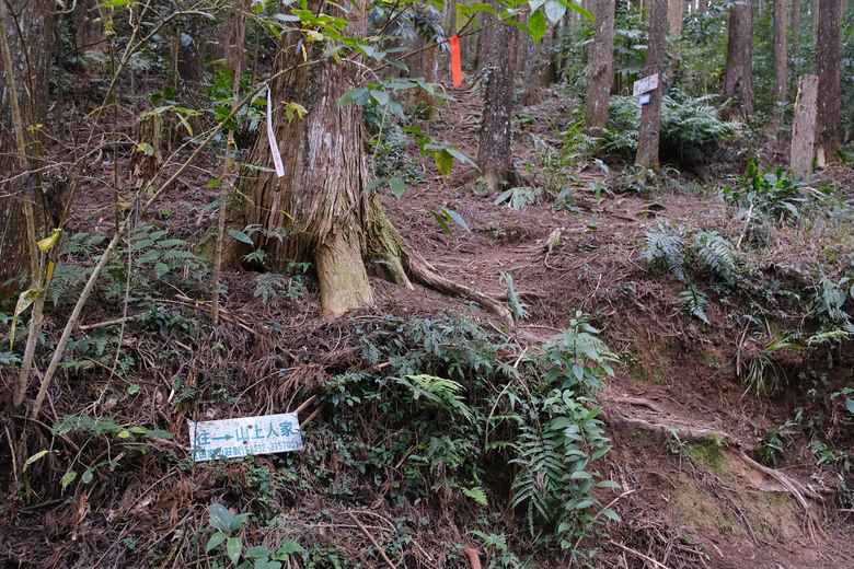 點我看大圖 【比大鳥縱走】隱沒在深山裡的日軍軍營遺址 | 五峰天際線