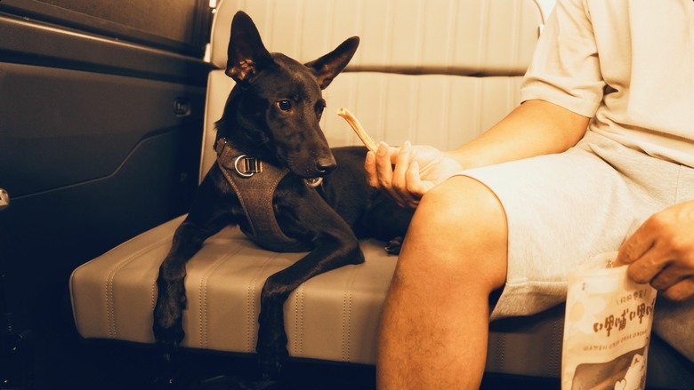 用空拍機找車泊點 發現2個0元泊點