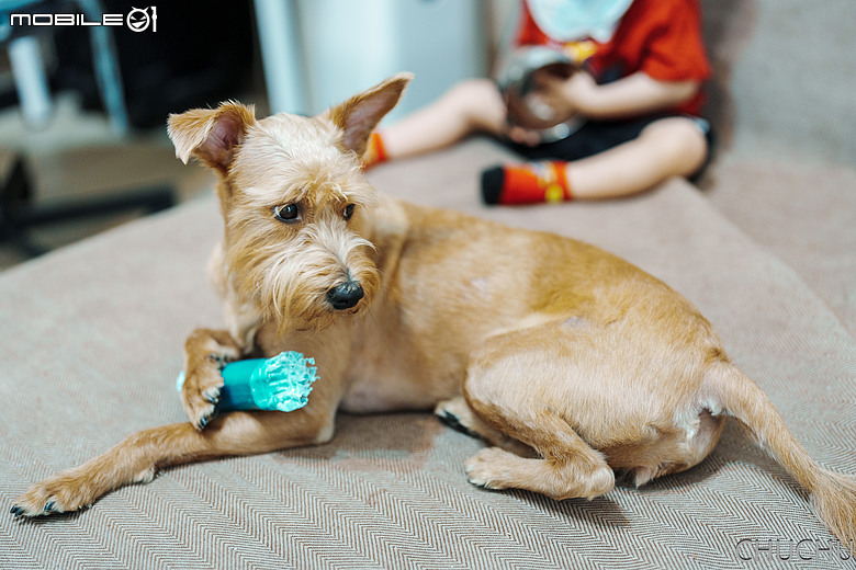 Sony A7C2 與 Sony 50mm f1.4 GM小小心得