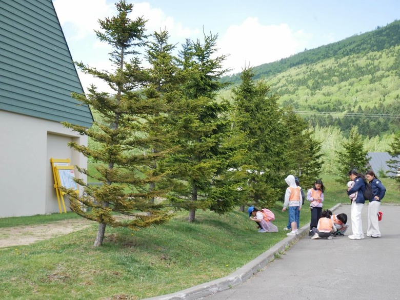 日本北海道Club Med Tomamu夏季北海道行程遊記文/攻略