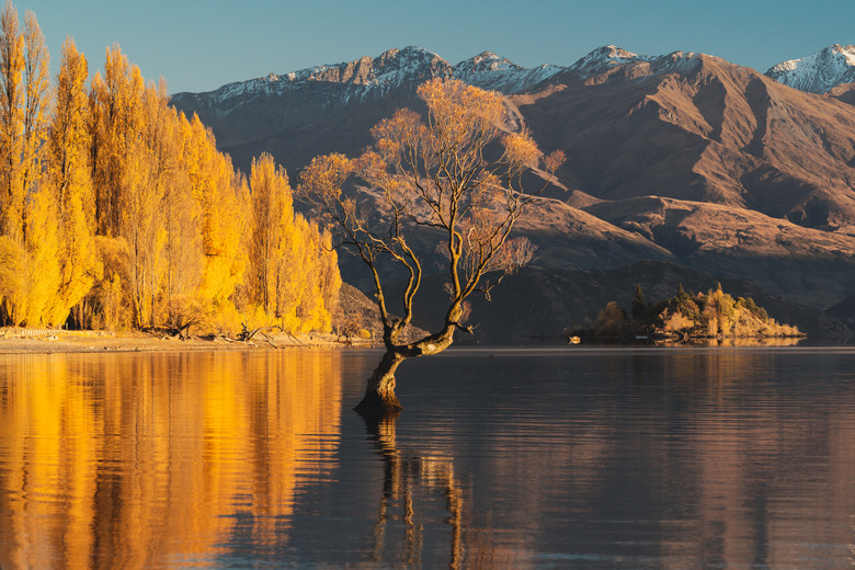 【遊記。上】紐西蘭。A7M5+B25 & A7M3+20700mm F4 GII