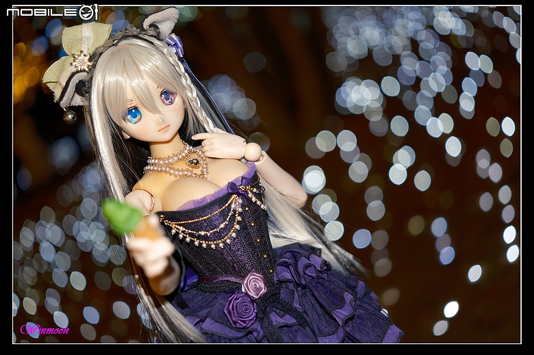 XH2S+Sigma17-40拍+錄心得
