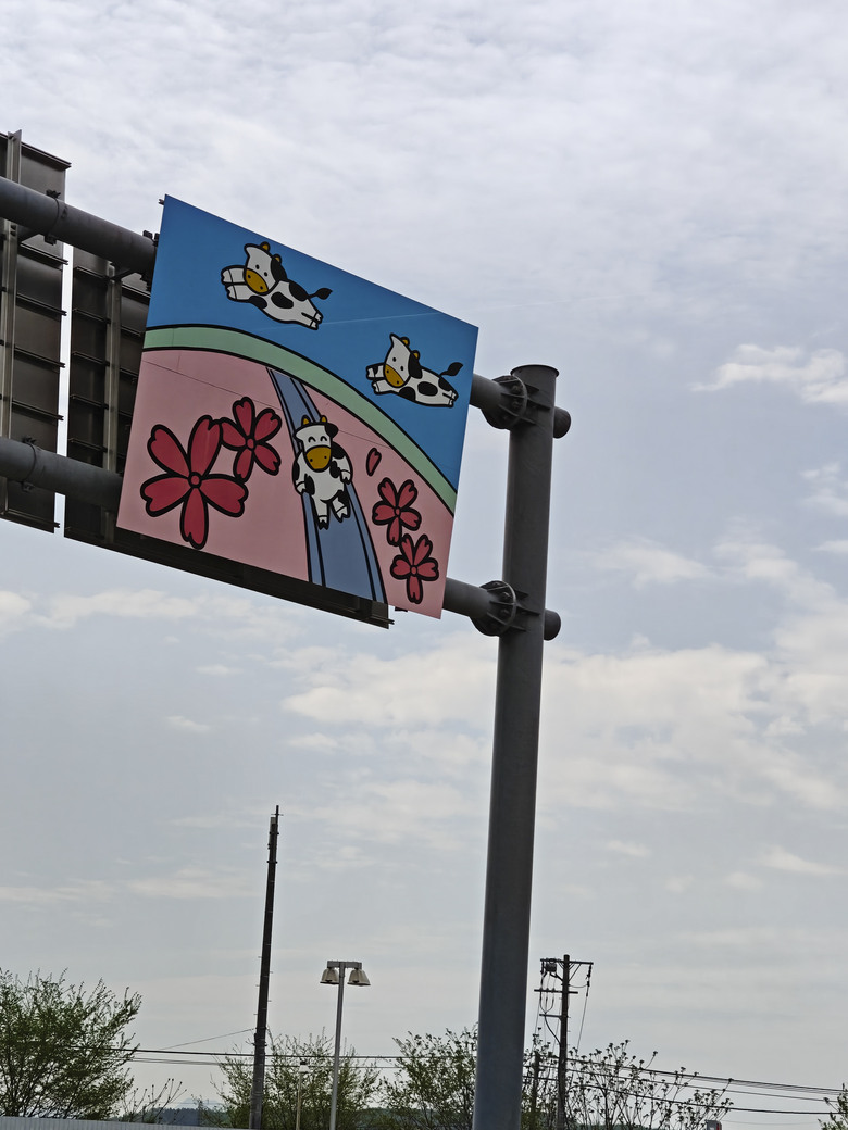 點我看大圖 日本-北海道 五月賞芝櫻&鬱金香 |東藻琴芝櫻|瀧上公園|上湧別町鬱金香