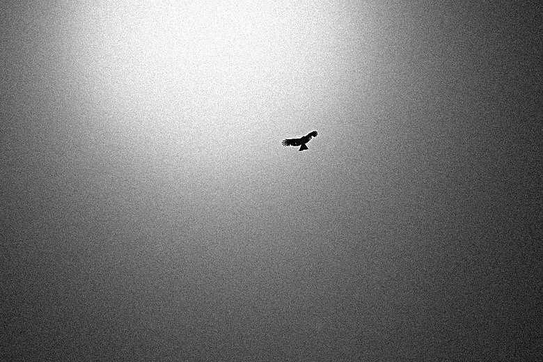 RICOH GR IV Monochrome 評測報告｜以純粹光影、譜寫口袋裡的黑白詩篇！