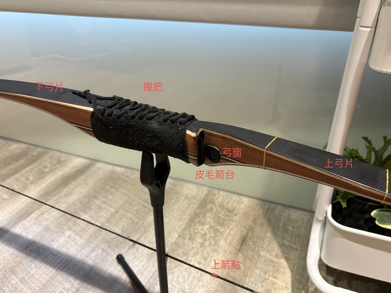 大家來射箭吧 美式獵弓介紹