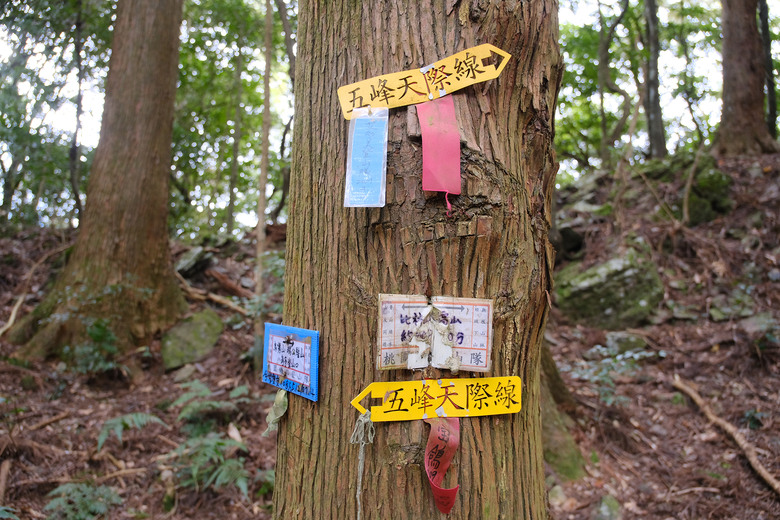 點我看大圖 【比大鳥縱走】隱沒在深山裡的日軍軍營遺址 | 五峰天際線