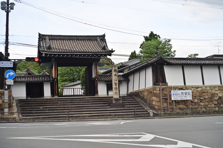 京都市區紫陽花名所採點介紹-藤森神社與智積院