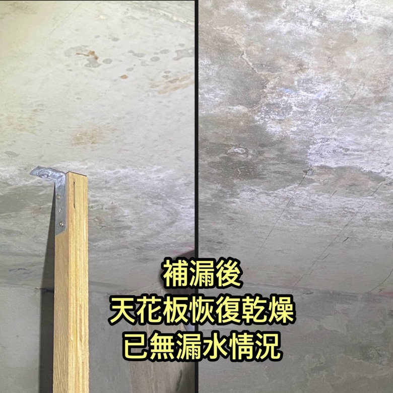 【心得】漏水別亂敲！後悔沒早點發現的「科學儀器抓漏」，保住板橋老屋裝潢的關鍵