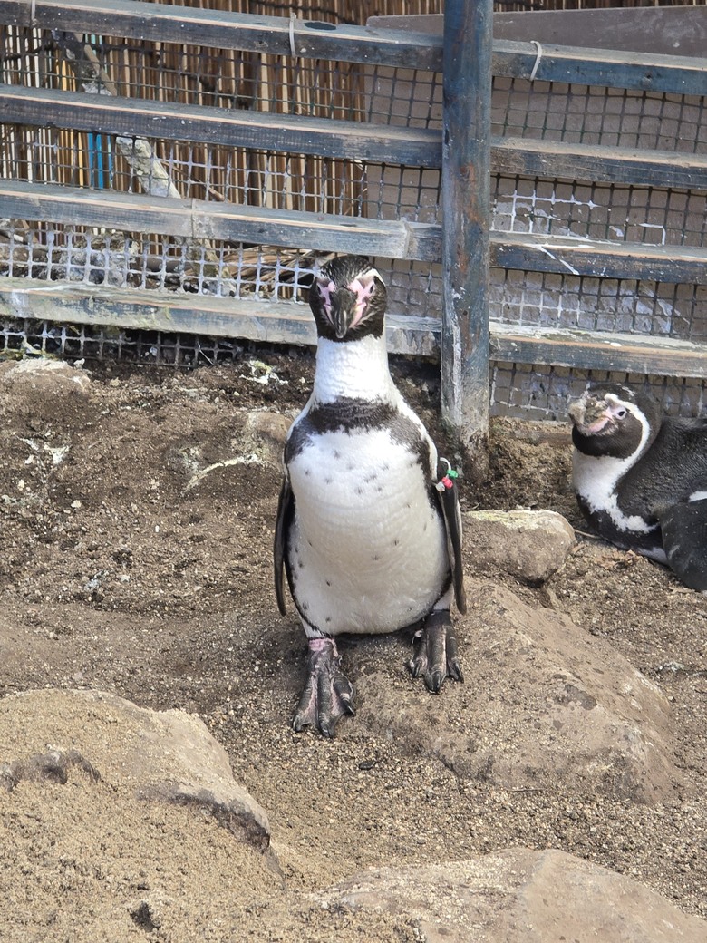 三重縣 伊勢海洋樂園 今天來點不一樣的水族館吧