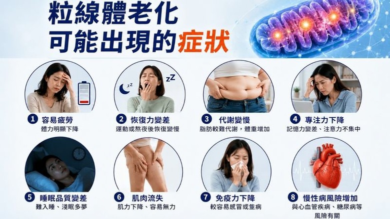 點我看大圖 40歲後真的會「斷崖式衰老」?博士解析身體出現的關鍵變化
