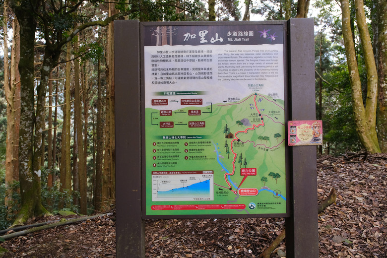 【哈加縱走】極具挑戰的中級山縱走路線 | 哈堪尼山.加里山