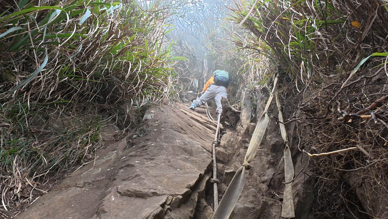 【哈加縱走】極具挑戰的中級山縱走路線 | 哈堪尼山.加里山